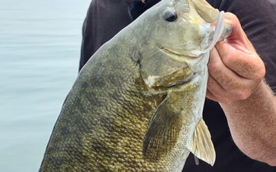 Clear Water Smallmouth